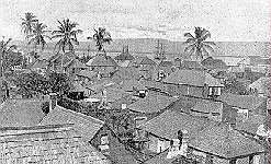 1893pt~1.jpg - 20.35 K