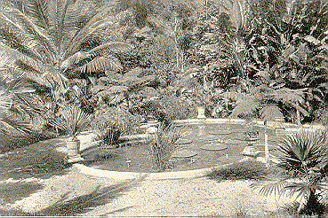Castleton Gardens