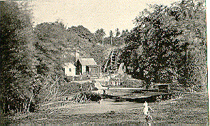 Martha Brae, Falmouth, Trelawny