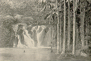 Roaring River, St Ann
