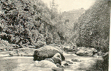 WagWater River at Castleton